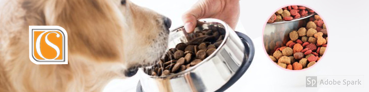 What’s Your Top Source to Get Best Dry Pet Foods? - 121 Product Review